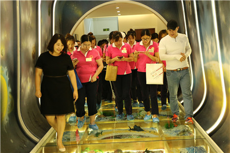 回顧:大風車教育集團8月幼兒園崗前培訓圓滿成功